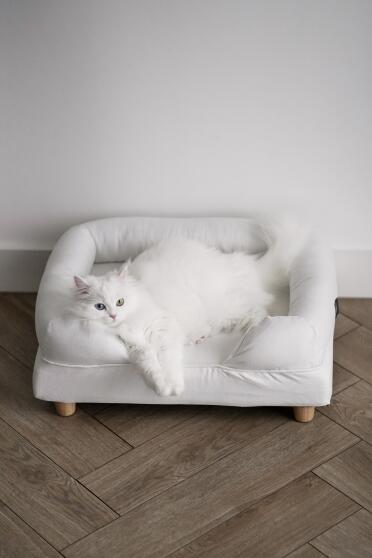 Mia’s favourite bed, very comfortable and beautiful