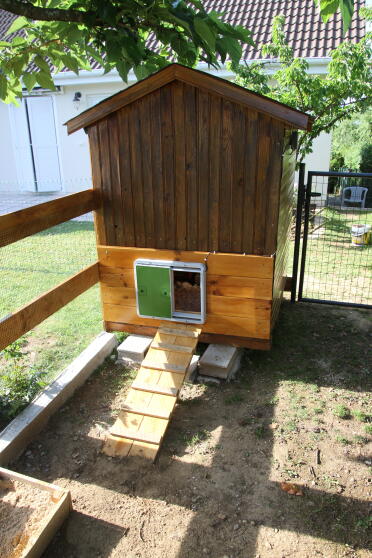 The autodoor works well with any chicken coop!
