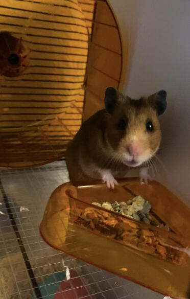 Snack time