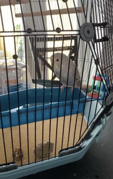 Bath time!