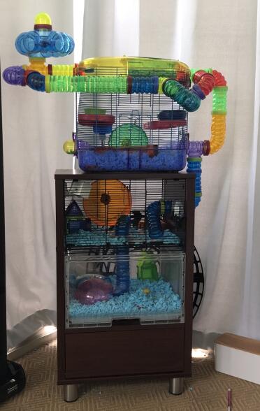 The qute cages are easily adaptable as a hamster home!