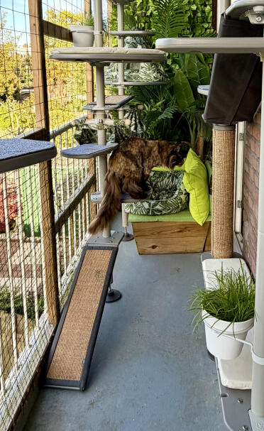 Slope from floor to post, definitely recommended for elderly cats. Gosh is 13 and uses it well 