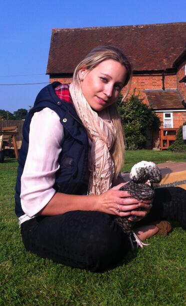 Chickens are great pets