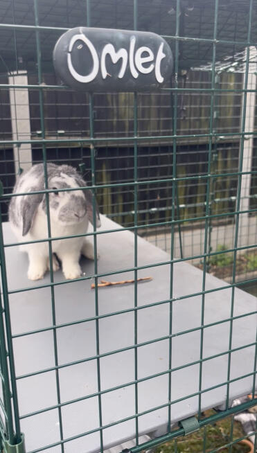 Hoog boven op het uitkijkpunt ‘ Omlet ’