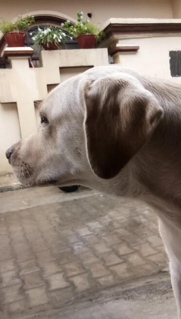 Watching The Rain