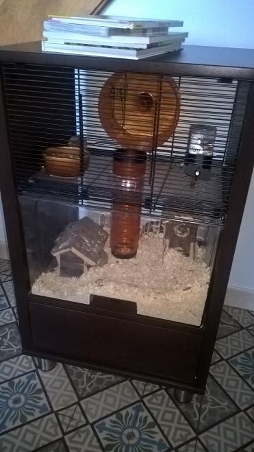 Sehr schöner käfig 