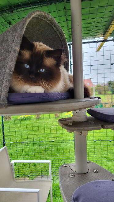 Well protected from the rain in my paddock