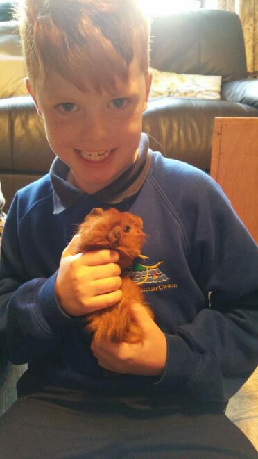 I love holding guinea pig.  She is 10 weeks old.
