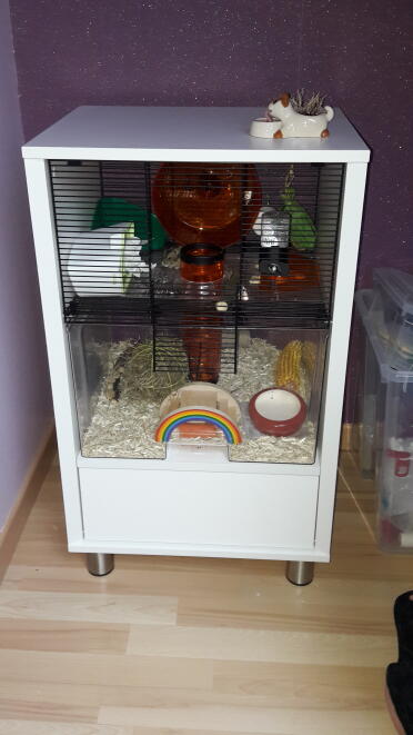 Der schönste käfig der welt