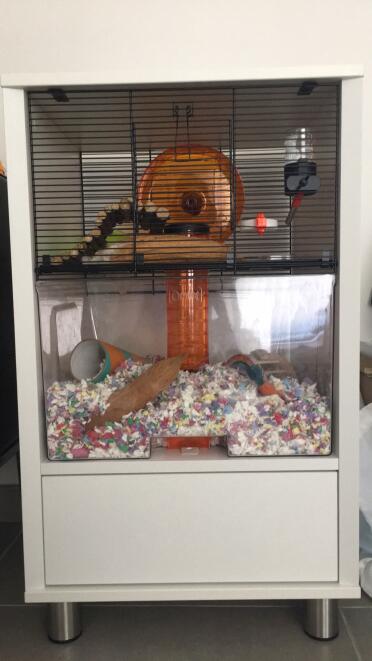 Mr kabouki und das bunte katzenstreu 