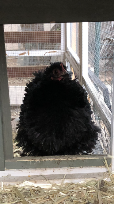 Winifred!