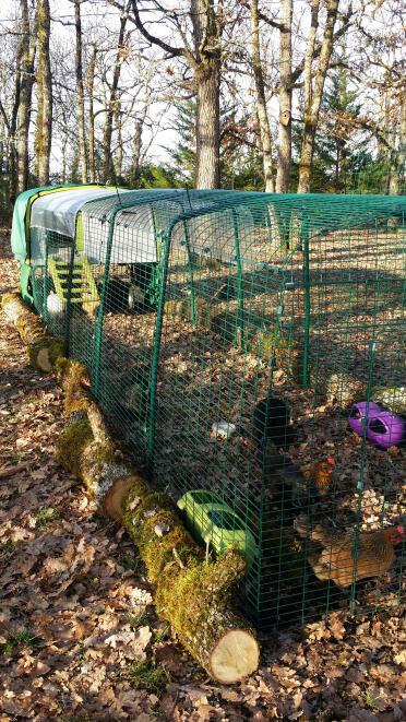 Eglu Cube mit vier erweiterungen!