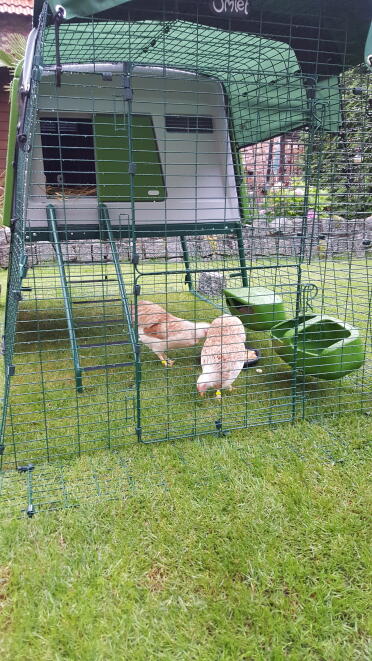 Die ersten 2 Zwerge sind schon eingezogen.