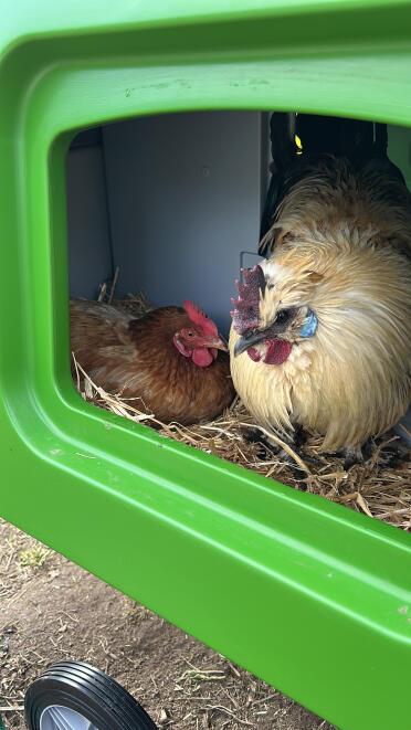 Hello from the inside