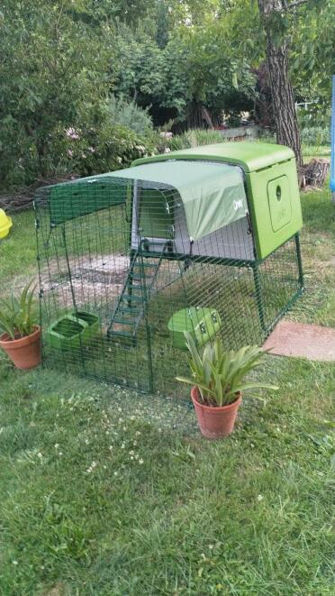 The material of the coop makes cleaning a breeze
