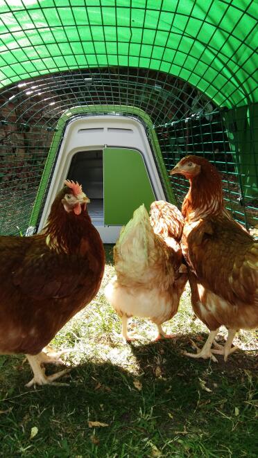 3 glückliche mädchen