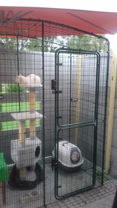 We have setup our balony cat run and it works really well.