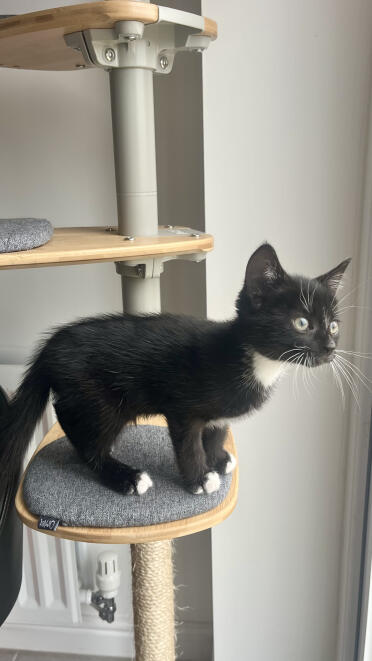 Wow! udsigten er fantastisk Heroppefra 