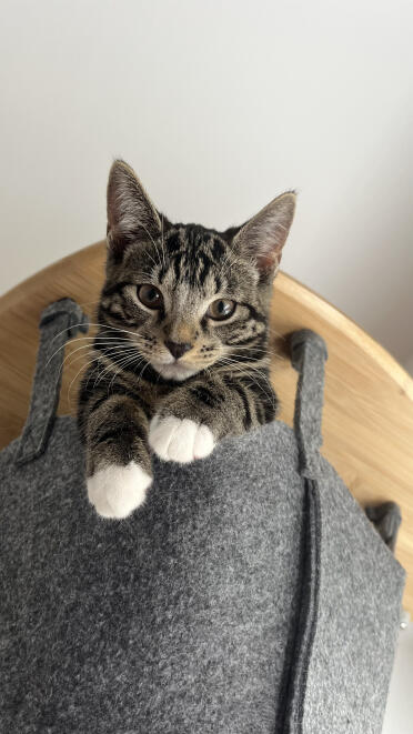 J'adore mon nouveau hamac ! 