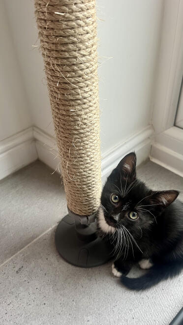 Scratching rope kit var nemt at installere og redder min nye sofa! 