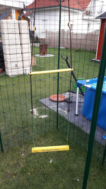 Ready for the chickens