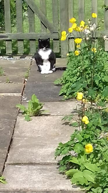 Just watching