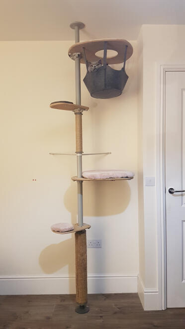 Il nostro albero per gatti Omlet Freestyle è perfetto per i gatti