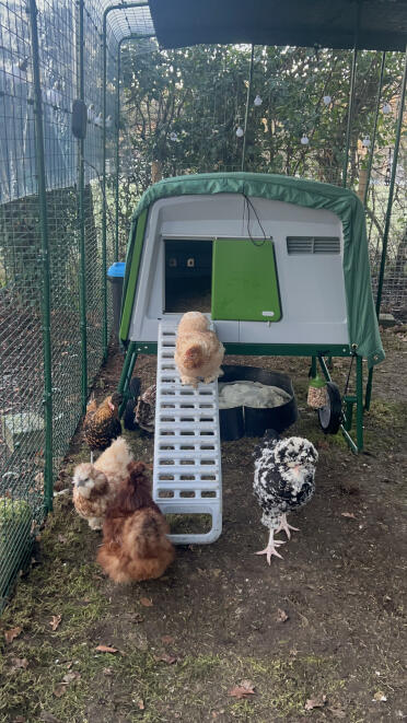 The ladies coming out for the morning:)