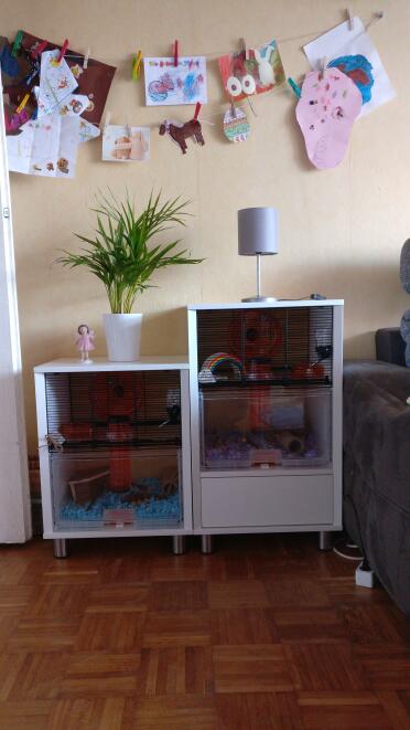 Two Omlet White Qute Hamster Cages with one with storage