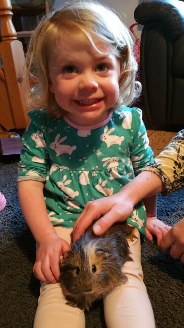 This is our 10 week old guinea pig.  Everyone love her!
