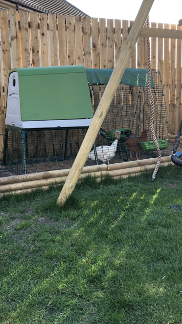 Small garden but still space for hens