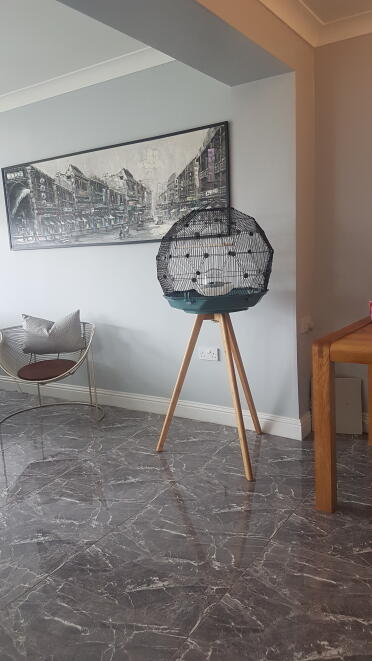 Stunning & contemporary bird cage ????