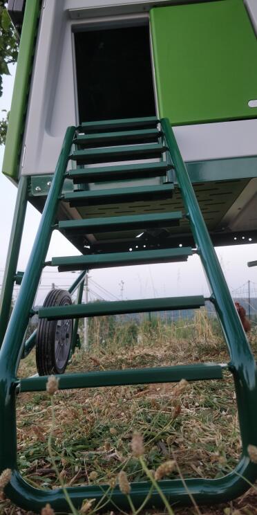The ladder gives your chickens easy access to their coop.