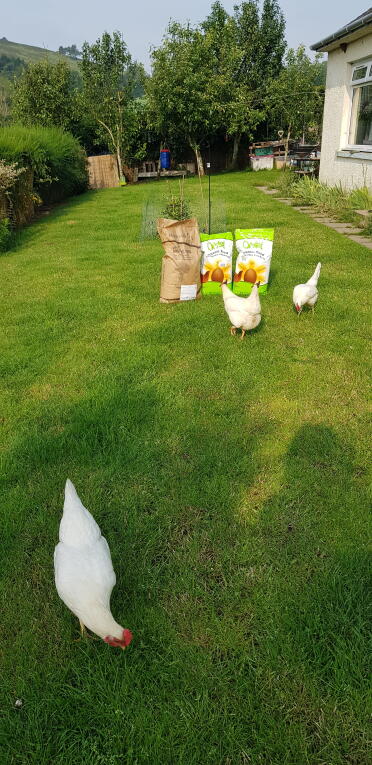 Lots of yummy Goodness for my girls ❤