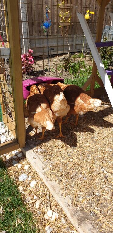 Bigger than expected! Can hold lots lots of food