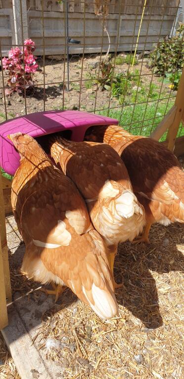 Bigger than expected! Can hold lots lots of food