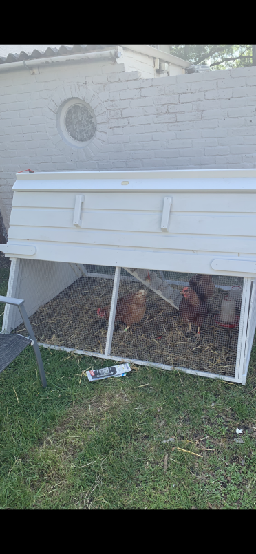 New house for my ladies 