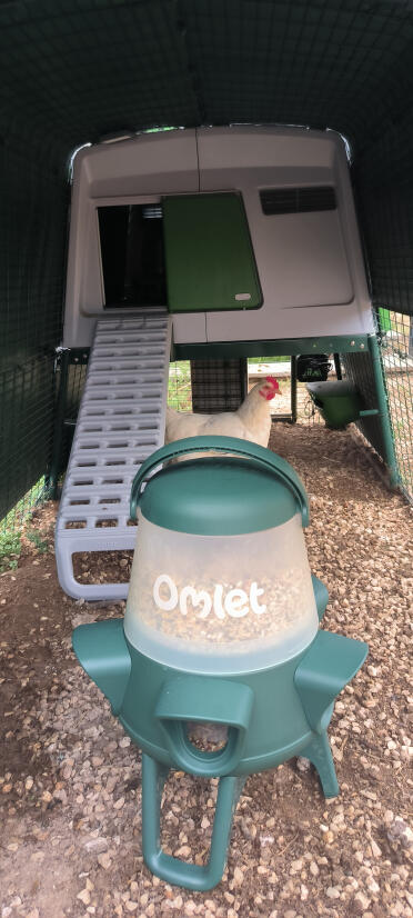 New ladder with new seed dispenser 