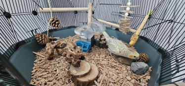 DIY water en voer houder