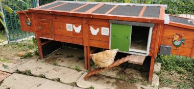 La ROLLS du poulailler 