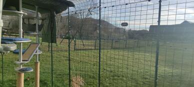 The outdoor freestyle cat tree with accessories in a catio overlooking a garden.