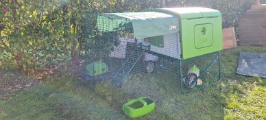 A green coop with a run in a garden
