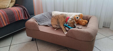 Direkt verabschiedet