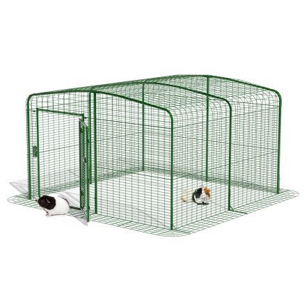 Outdoor Guinea Pig Run Enclosure