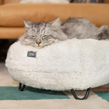 Le Maya Donut est un lit de luxe pour chats avec un coussin bien rembourré et pieds de lit personnalisables.