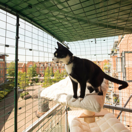 Chat se relaxant à l'intérieur de l'enceinte du balcon pour chats Omlet safe cat enclos sur un arbre à chat