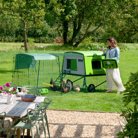 Donna che entra nel pollaio Eglu Cube per recuperare le uova in un giardino