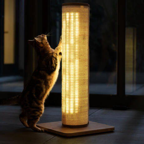 Cat stretching up against the Switch cat scratcher with a warm light setting