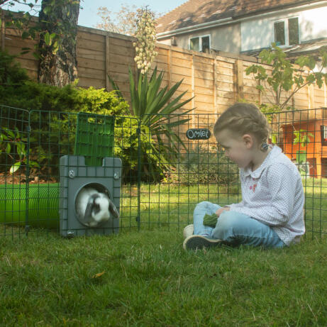 Kid in Omlet Zippi Rabbit Playpen watching rabbit come out of Omlet Zippi Tunnel