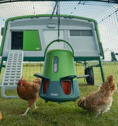 Removeable legs and carry handle lets you hang the feeder.